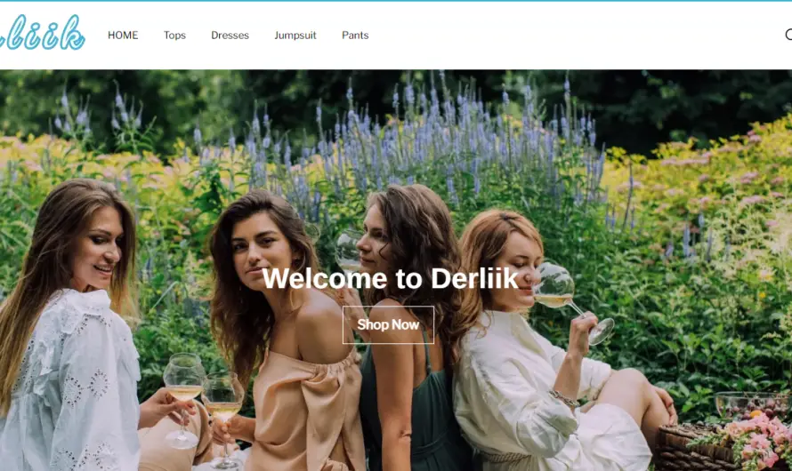 Derliik Review 2023: Beware of derliik.com!