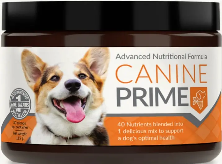 Canine Prime Reviews: Is This Supplement Good For Dogs? Read My Review