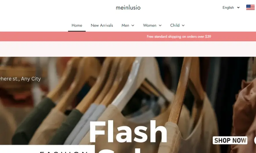 Mayinlusio Review: Is This The Best Store For Trendy Wears? Find Out!