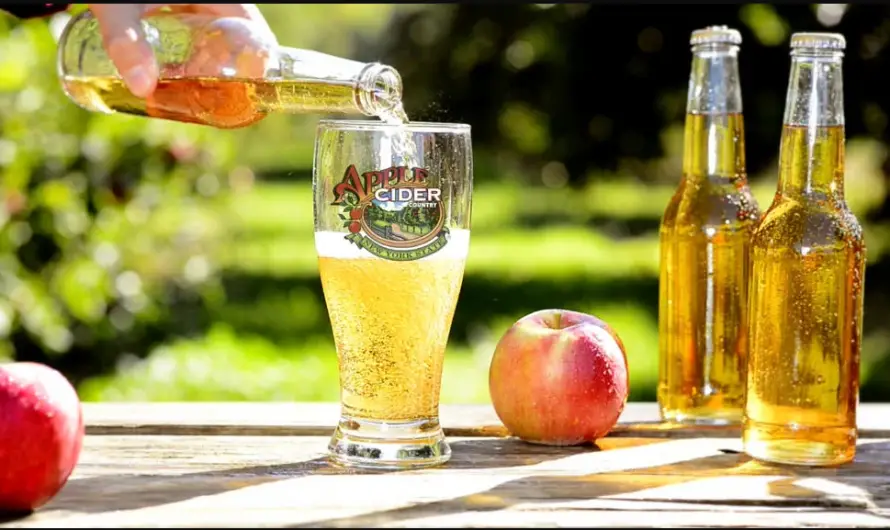 Cider Wine Reviews: Is Cider Wine The Best Alcohol? Read My Review